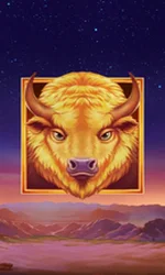 Buffalo's Sun 2